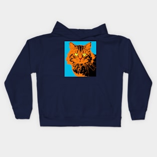 Pop cat  orange blue Kids Hoodie